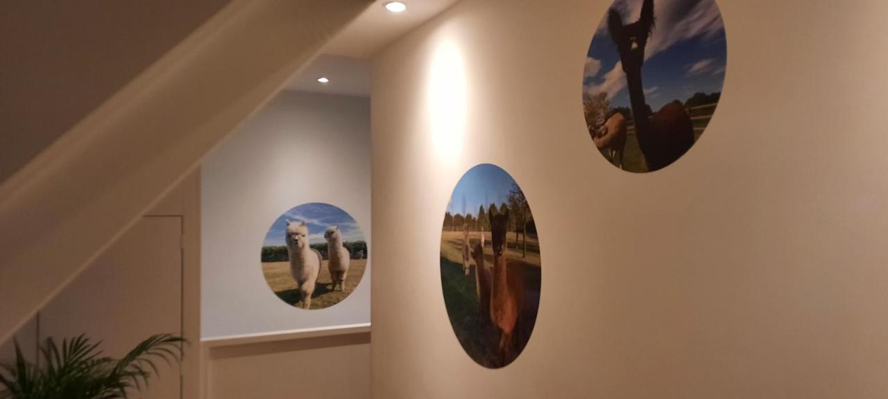 B&B De Raamberg Zundert 外观 照片