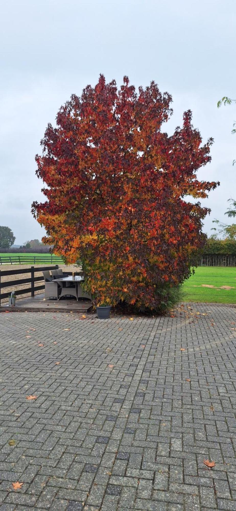 B&B De Raamberg Zundert 外观 照片