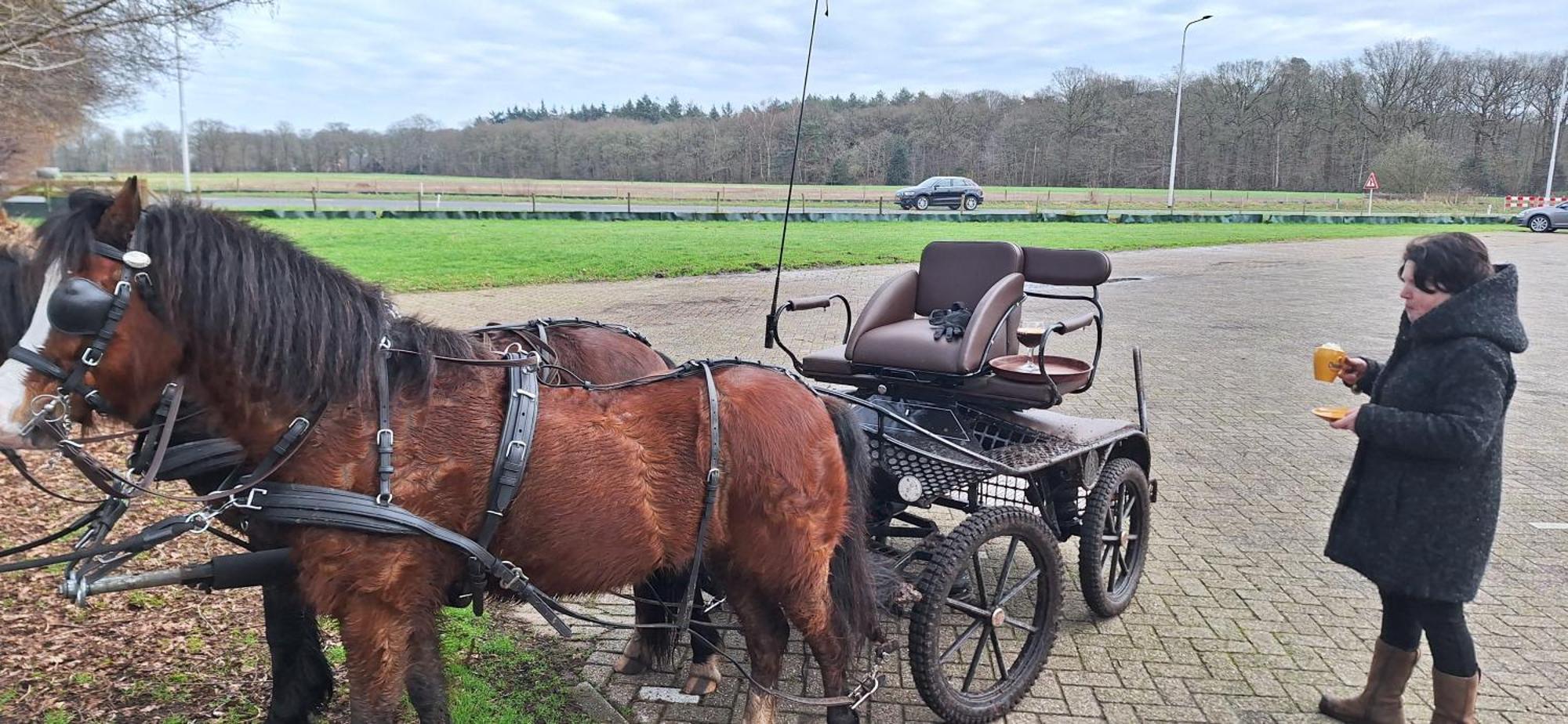 B&B De Raamberg Zundert 外观 照片
